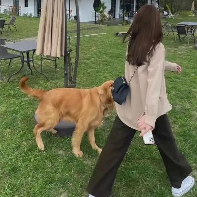 幕后黑手